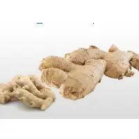Ginger