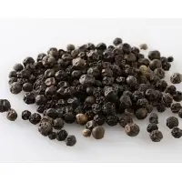 Pepper