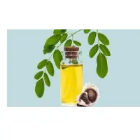 Moringa Oil
