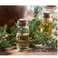 Thyme Oil
