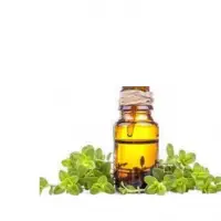 Marjoram Oil