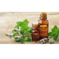 Peppermint Oil