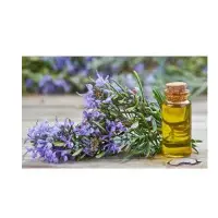 Rosemary Oil