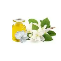Jasmine Oil