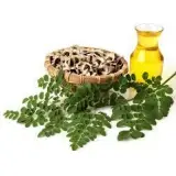 Moringa Flower Oil