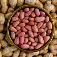 Groundnut In Shell