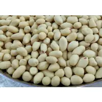 Blanched Peanuts