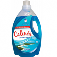 Liquid Detergent