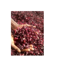 Red Dry Hibiscus