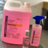 Hand Sanitizer