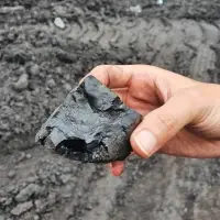 Indonesia Coal
