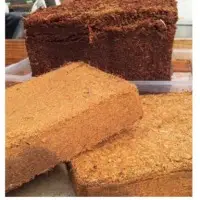 Compressed Coco Peat Blocks