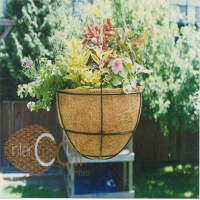 Decorative Garden Pot