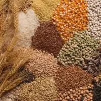 Grain