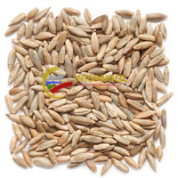 Rye