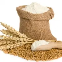 Flour Mills Products