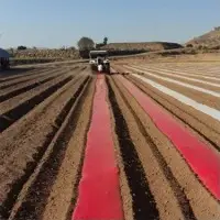 Red Mulch Films