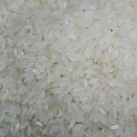 Ponni Parboiled Rice