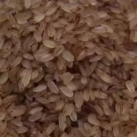 Unda Matta Rice- Kerala