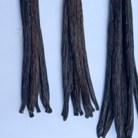 Cured Vanilla Pods