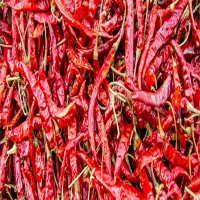 Dry Red Chillies