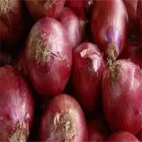 Red Onions