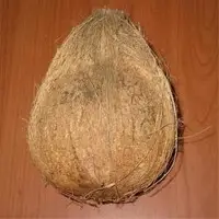 Semi Husked Coconuts