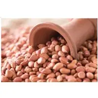 Groundnut