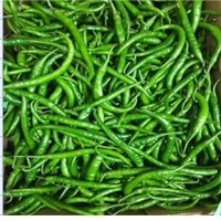 Green Chilli