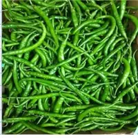 Green Chilli