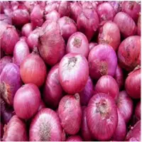 Fresh Red Onions