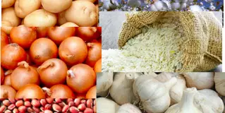 Jai Sakthi Exports company image 1