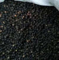 Black Pepper