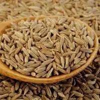 Cumin Seeds
