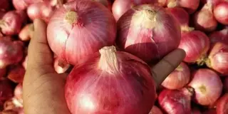 Jai Sakthi Exports news image 1