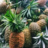 Pineapple / Ananas