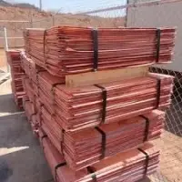 Copper Cathodes 