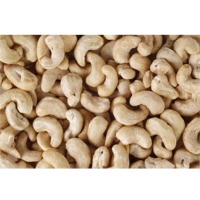 Cashew Nut