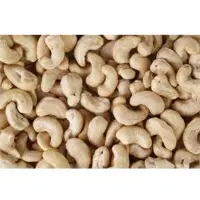 Cashew Nut