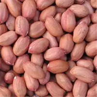 Groundnuts