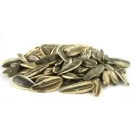 Sunflower Seeds