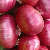 Fresh Red Onion