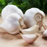 White Garlic