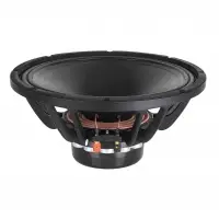 Professional Audio Speaker