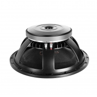 Professional Audio Speaker