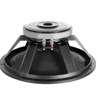 Professional Audio Speaker