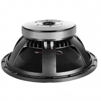 Professional Audio Speaker