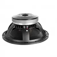 Professional Audio Speaker