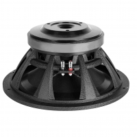 Professional Audio Speaker