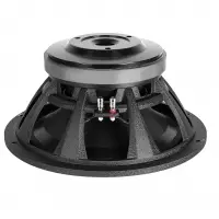 Professional Audio Speaker